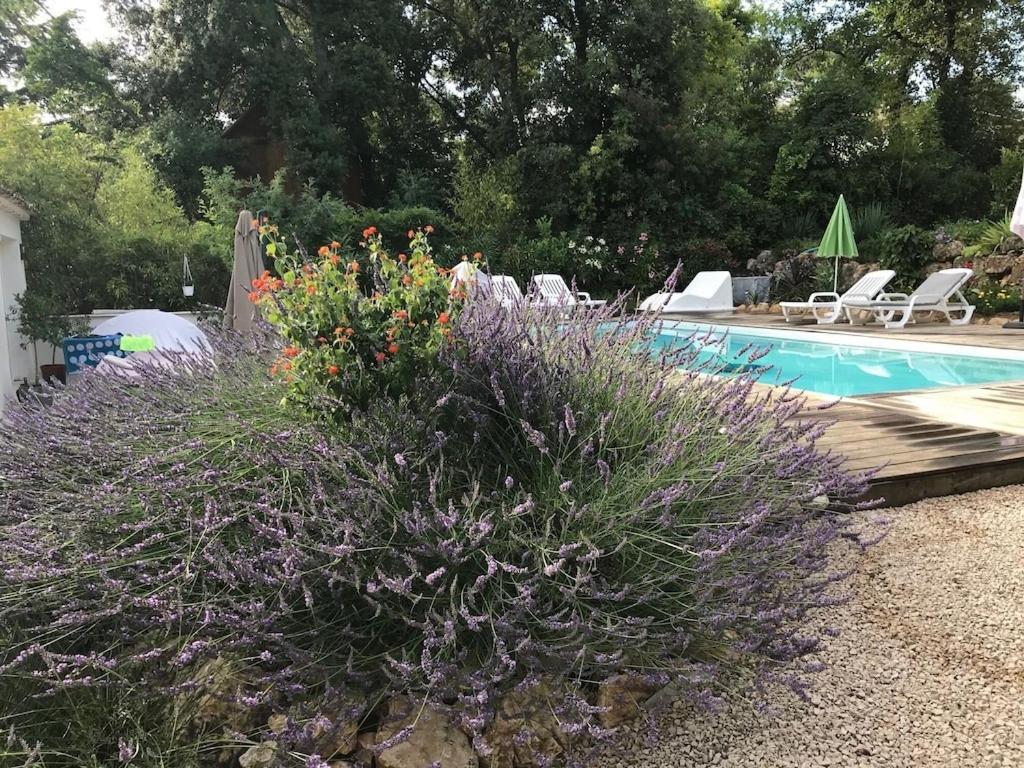 Villa Oha Close Cannes,Nice, Valbonne , Opio Roquefort-les-Pins Exterior photo