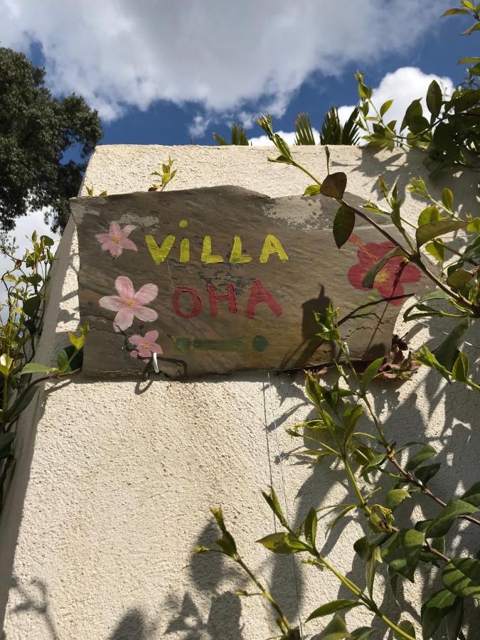 Villa Oha Close Cannes,Nice, Valbonne , Opio Roquefort-les-Pins Exterior photo